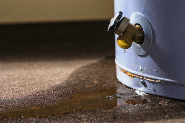 Best Residential water damage restoration  in Oroville, WA