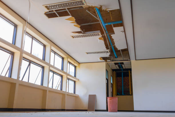 Water damage restoration mold remediation in Oroville, WA