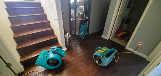 Best Professional water damage repair  in Oroville, WA