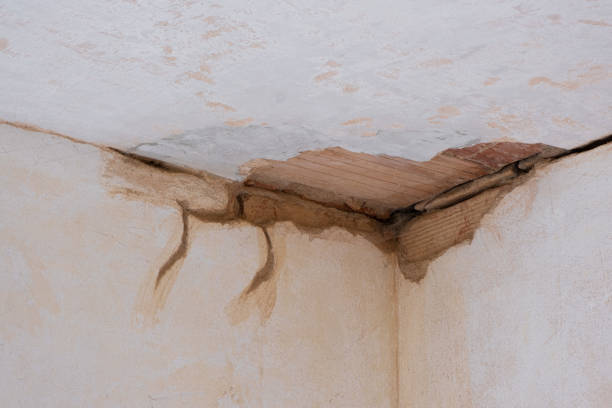 Best Water damage restoration mold remediation  in Oroville, WA