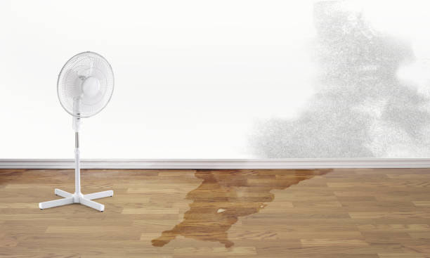 Best Flood damage cleanup  in Oroville, WA
