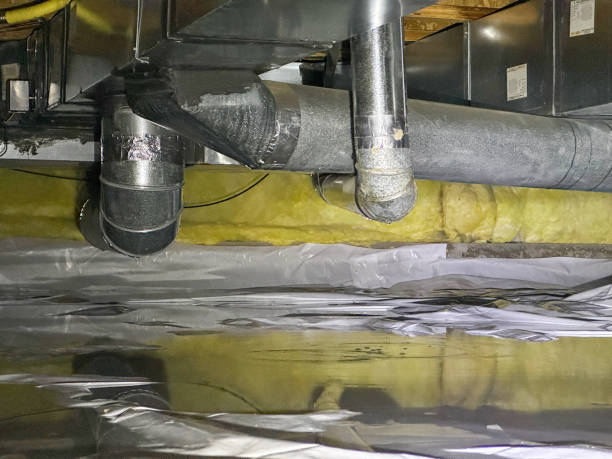 Best Ceiling water damage repair  in Oroville, WA