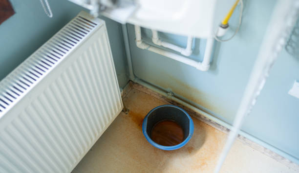 Best Basement water damage restoration  in Oroville, WA