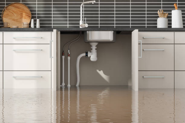 Best Water damage contractors near me  in Oroville, WA
