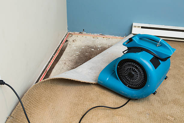 Trusted Oroville, WA Water damage restoration Experts